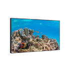 Android LCD Display 49" IPS Sunlight Readable Digital Signage