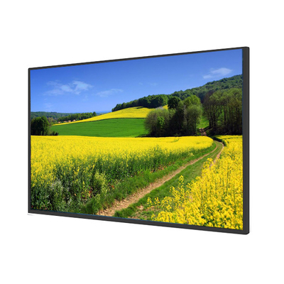 43 Inch Open Frame LCD Monitor DVI and LVDS Panel Interface for Enhanced Visibility