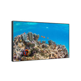 Android LCD Display 49" IPS Sunlight Readable Digital Signage